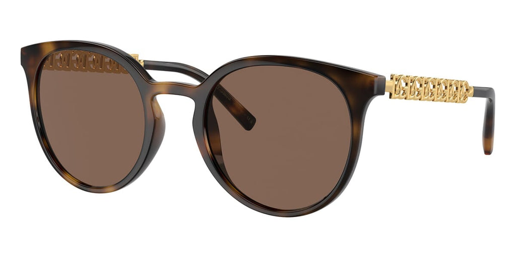 Dolce&Gabbana DG6189U 502/73 Sunglasses