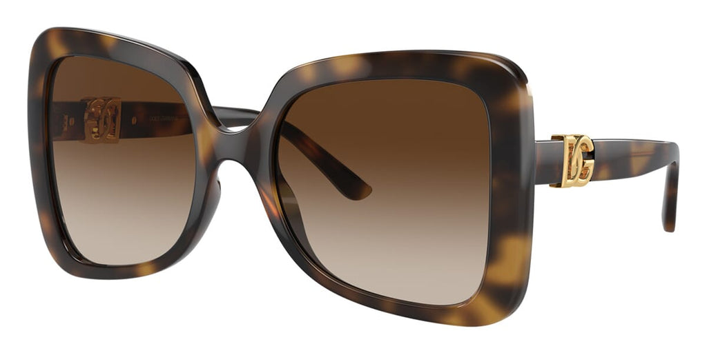 Dolce&Gabbana DG6193U 502/13 Sunglasses