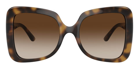 Dolce&Gabbana DG6193U 502/13 Sunglasses