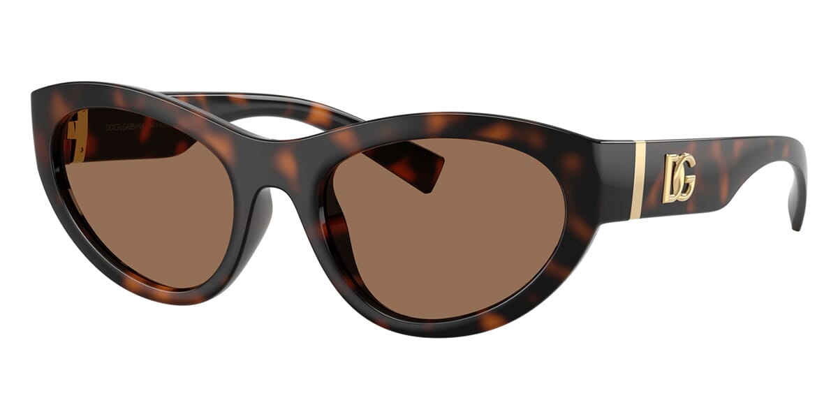 Dolce&Gabbana DG6207 502/73 Sunglasses