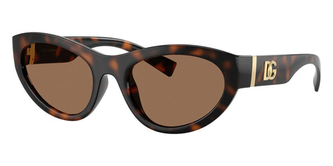 Dolce&Gabbana DG6207 502/73 Sunglasses