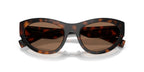 Dolce&Gabbana DG6207 502/73 Sunglasses