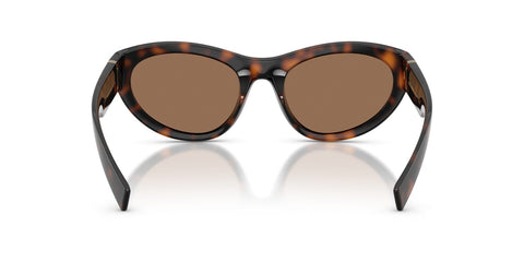 Dolce&Gabbana DG6207 502/73 Sunglasses