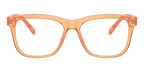 Dolce&Gabbana DX3356 3442 Glasses