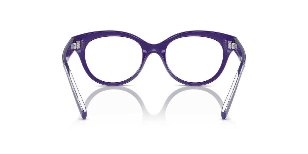 Dolce&Gabbana DX5003 3335 Glasses