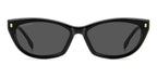 Dsquared D2 0209/G/S 807IR