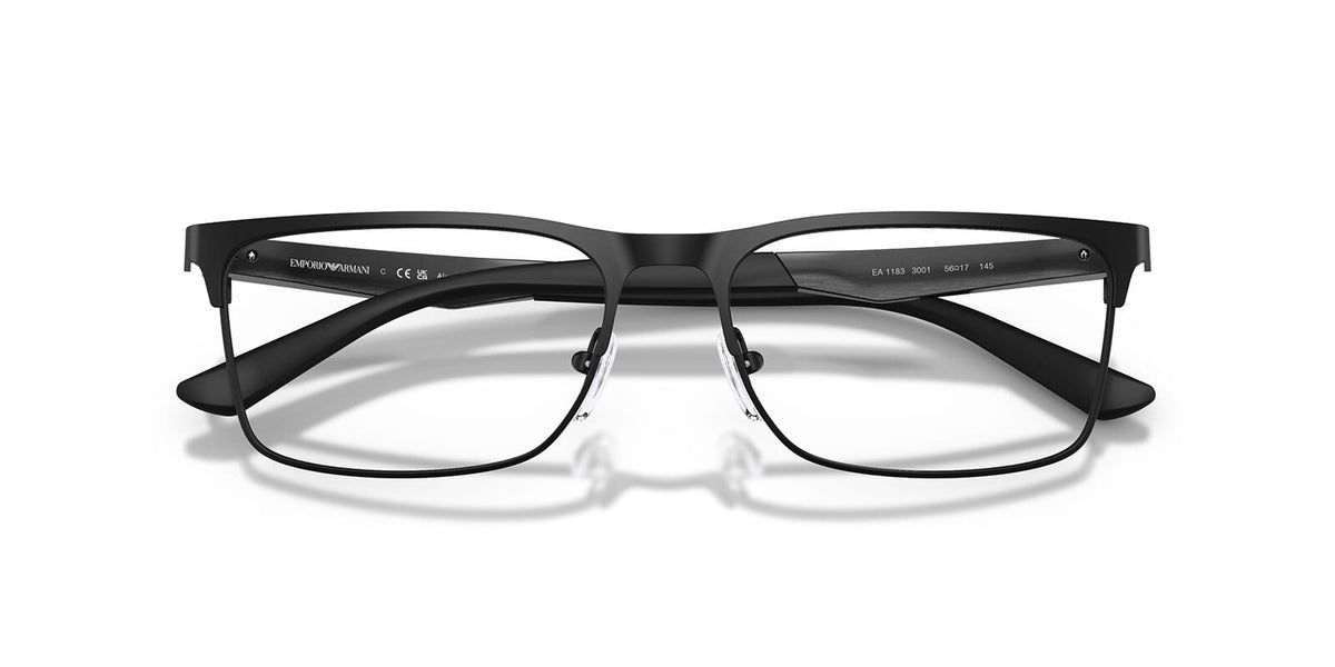 Emporio Armani EA1183 3001 Glasses