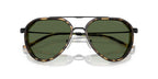Emporio Armani EA2163 3001/71 Sunglasses