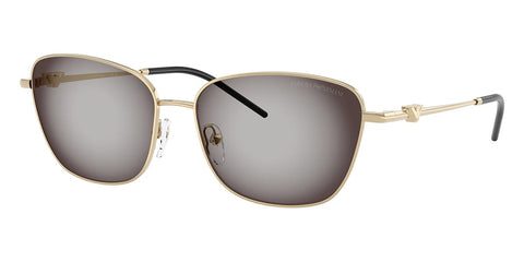 Emporio Armani EA2170 3013/8G Sunglasses