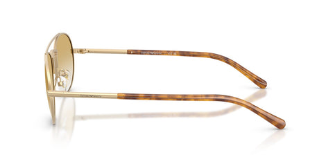 Emporio Armani EA2171 3002/2Q Sunglasses