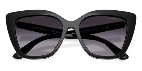Emporio Armani EA4254U 5017/1W Sunglasses