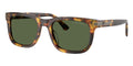 Emporio Armani EA4282U 5993/71 Sunglasses