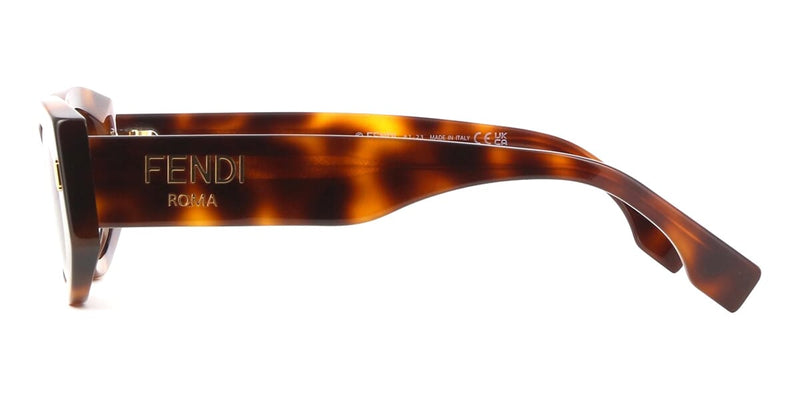 Fendi Roma FE40125I 53E Sunglasses