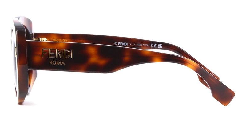 Fendi Roma FE40137I 53E Sunglasses