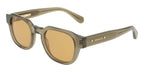 Ferragamo SF2146S 320 Sunglasses