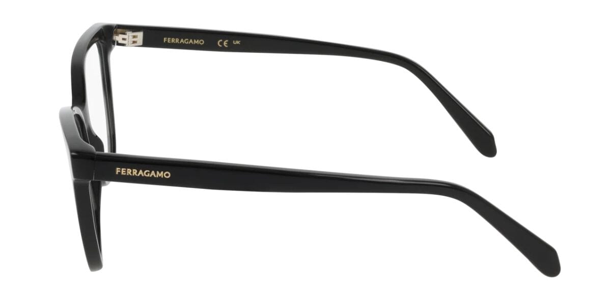 Ferragamo SF3062 001 Glasses