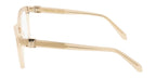 Ferragamo SF3076 709 Glasses