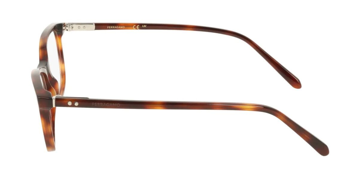 Ferragamo SF3078 240 Glasses