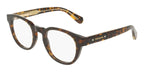 Ferragamo SF3083 242 Glasses