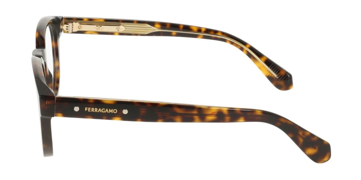 Ferragamo SF3083 242 Glasses