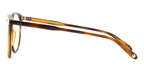 Garrett Leight Morningside 1076 SPBRNSH Glasses