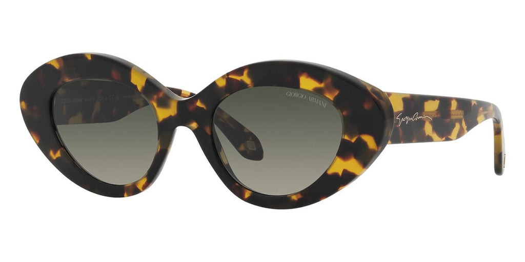 Giorgio Armani AR8188 5874/71 Sunglasses