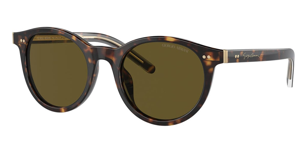Giorgio Armani AR8199U 5879/73 Sunglasses