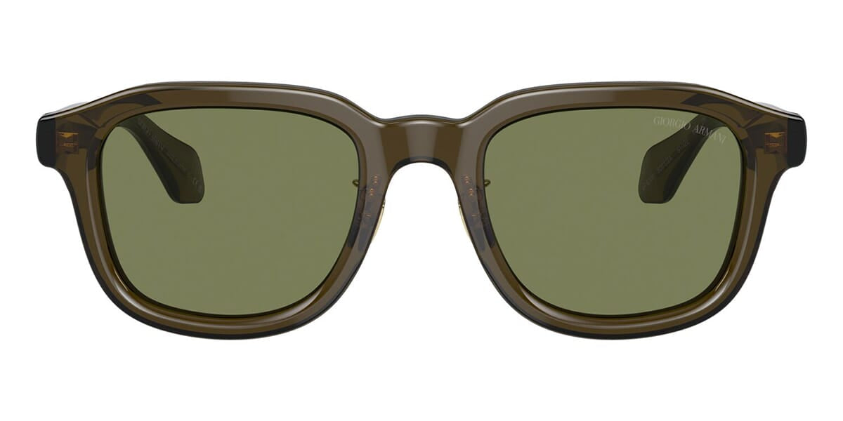 Giorgio Armani AR8206 6061/2A Sunglasses