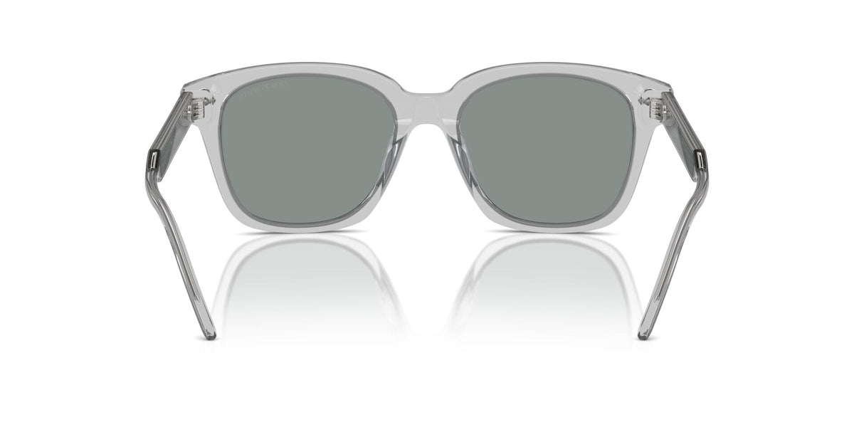 Giorgio Armani AR8210U 6080/56 Sunglasses
