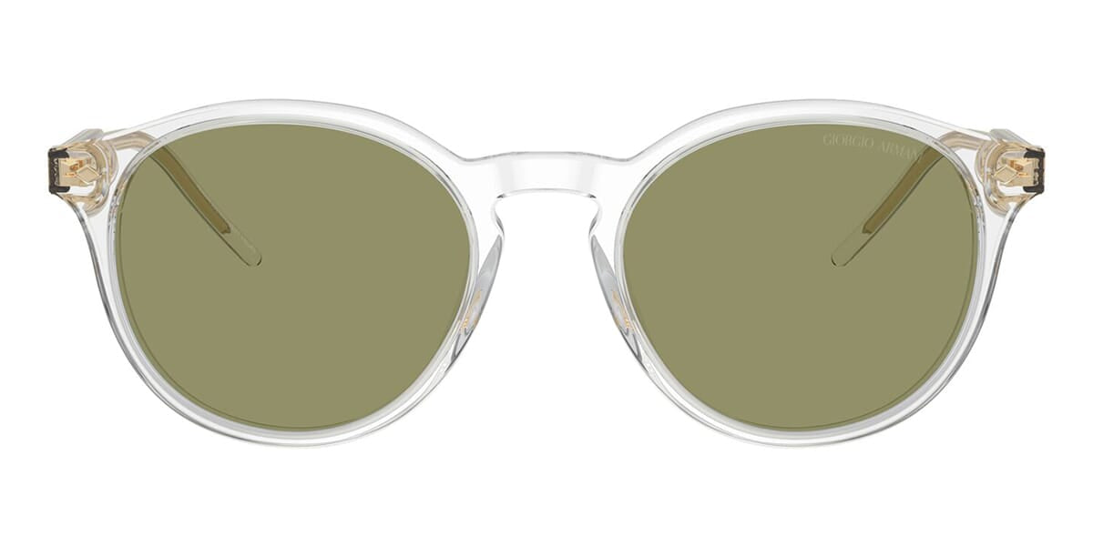 Sunglasses Giorgio Armani AR8211 607514