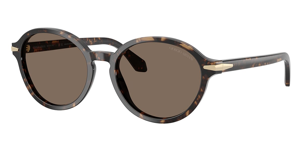 Giorgio Armani AR8237 6235/73 Sunglasses
