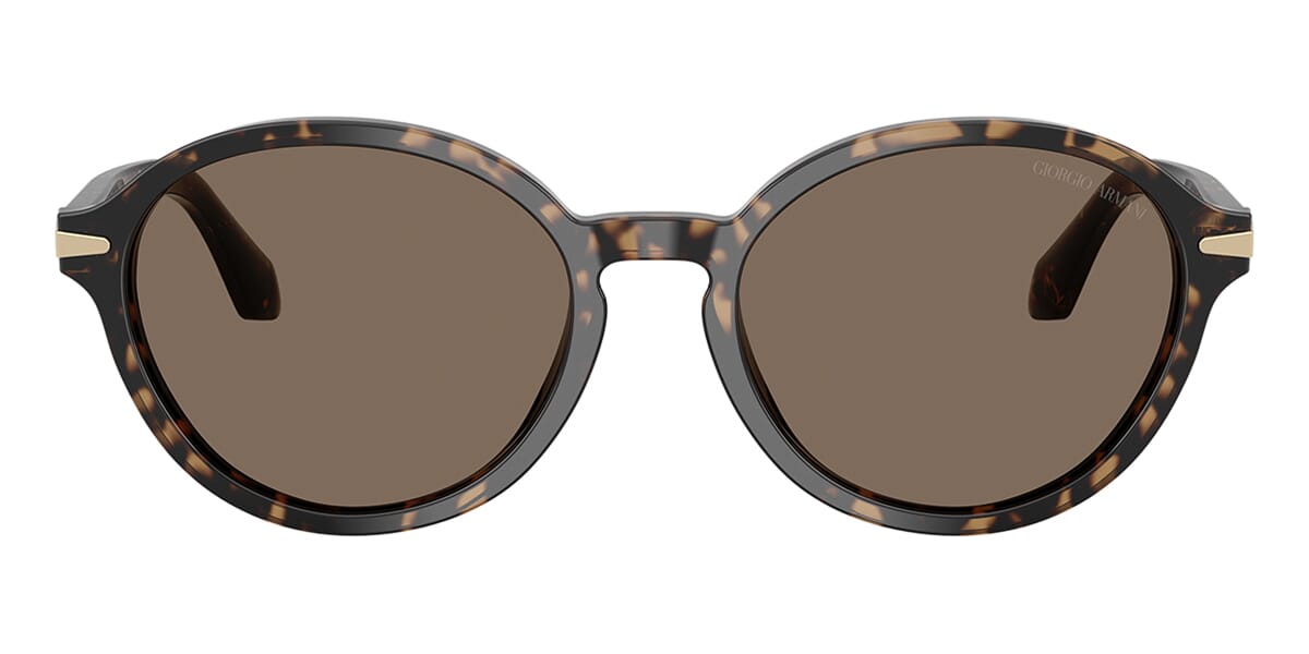Giorgio Armani AR8237 6235/73 Sunglasses