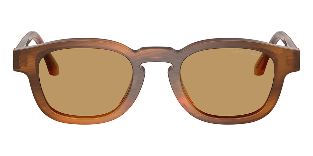 Giorgio Armani AR8254U 6163/73 Sunglasses