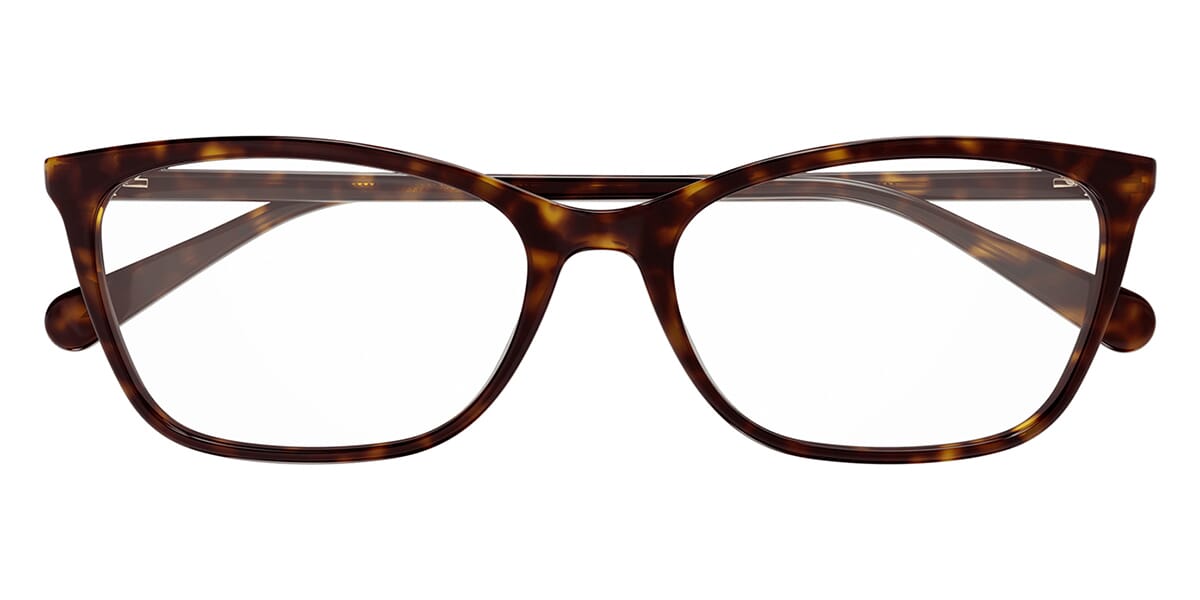 Gucci GG1930O 002 Glasses