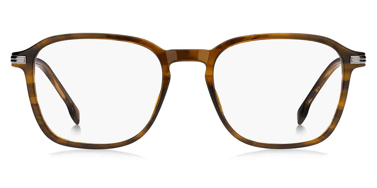 Hugo Boss 2010 EX4 Glasses