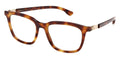 ic! Berlin Drew Havana Glasses