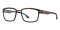 ic! berlin Scandium Teak Black Glasses
