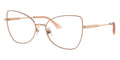 Jimmy Choo JC2006 3020 Glasses