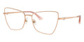 Jimmy Choo JC2010HB 3008 Glasses