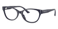 Jimmy Choo JC3003BU 5016 Glasses