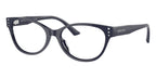 Jimmy Choo JC3003BU 5016 Glasses