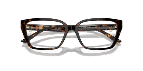 Jimmy Choo JC3008 5002 Glasses