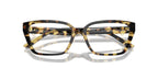 Jimmy Choo JC3008 5004 Glasses