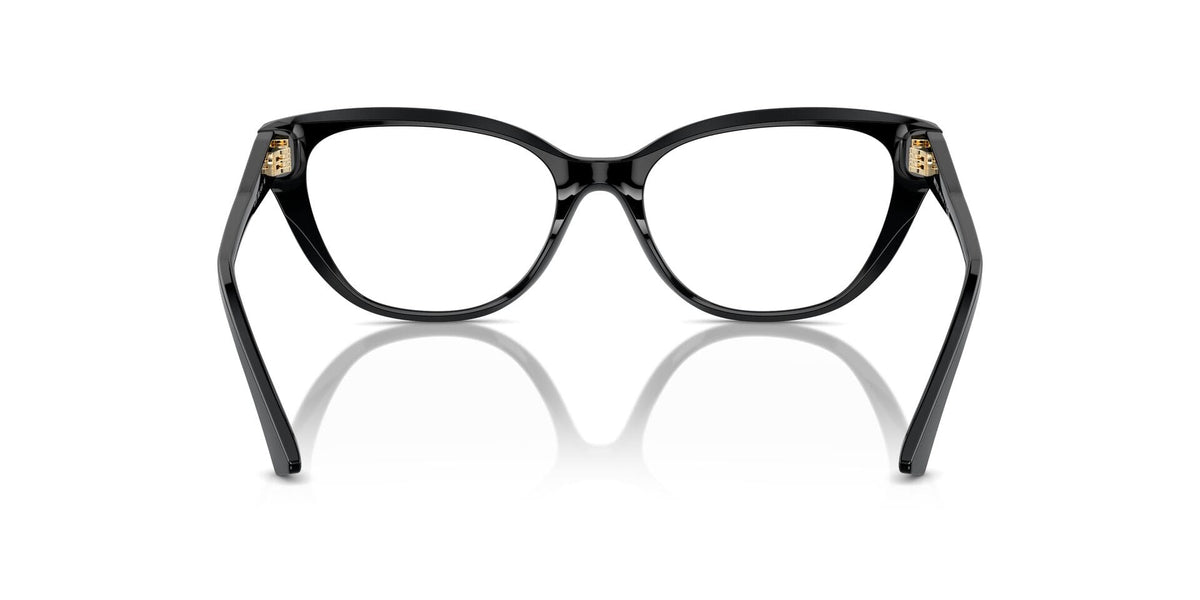 Jimmy Choo JC3011 5000 Glasses
