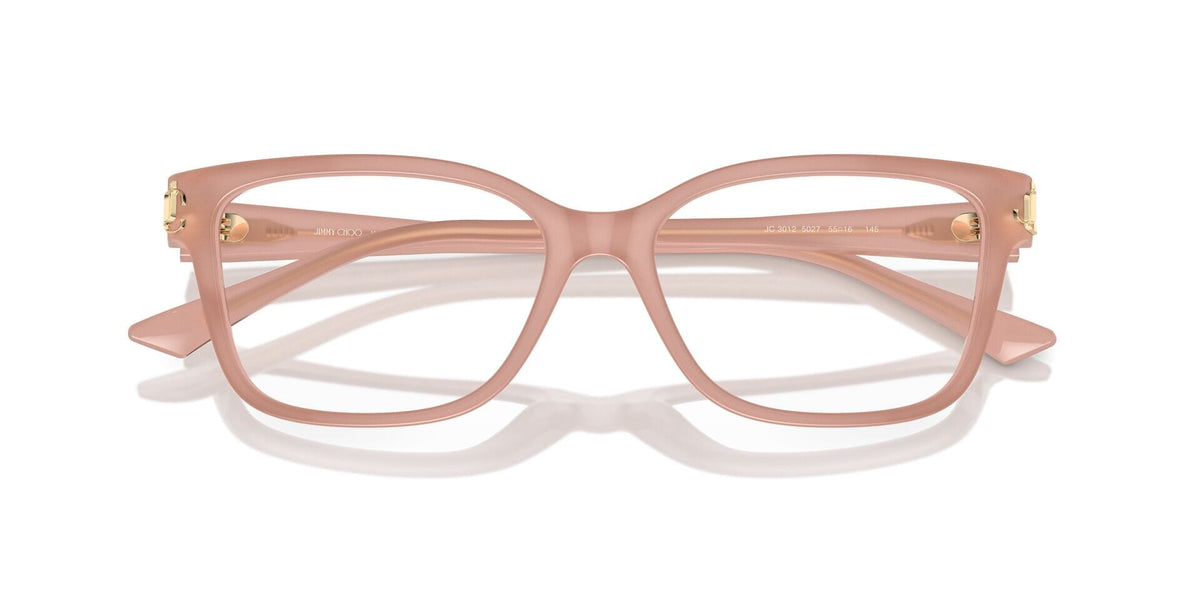 Jimmy Choo JC3012 5027 Glasses