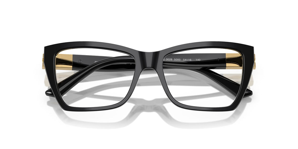 Jimmy Choo JC3028 5000 Glasses