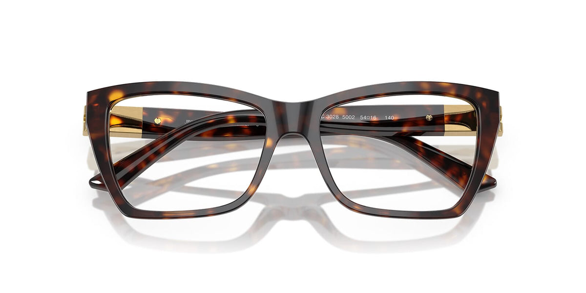 Jimmy Choo JC3028 5002 Glasses