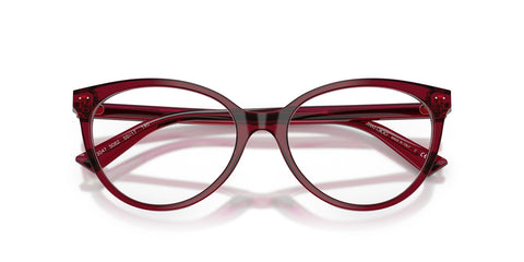 Jimmy Choo JC3047 5062 Glasses