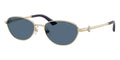 Jimmy Choo JC4032BD 3006/80 Sunglasses