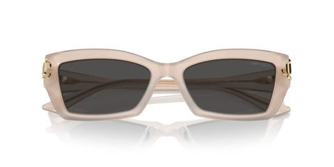 Jimmy Choo JC5011U 5025/87 Sunglasses